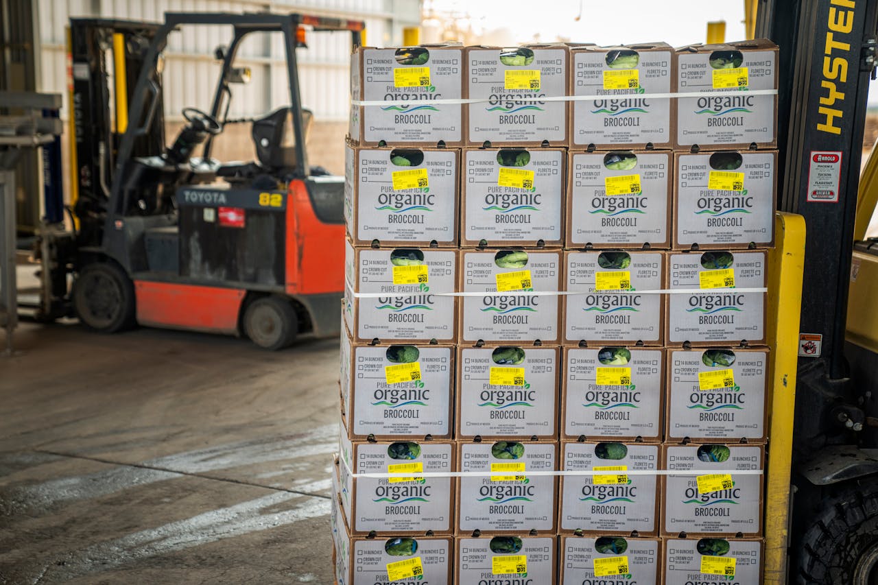Forklift managing stacks of organic broccoli boxes for shipment in a warehouse setting.